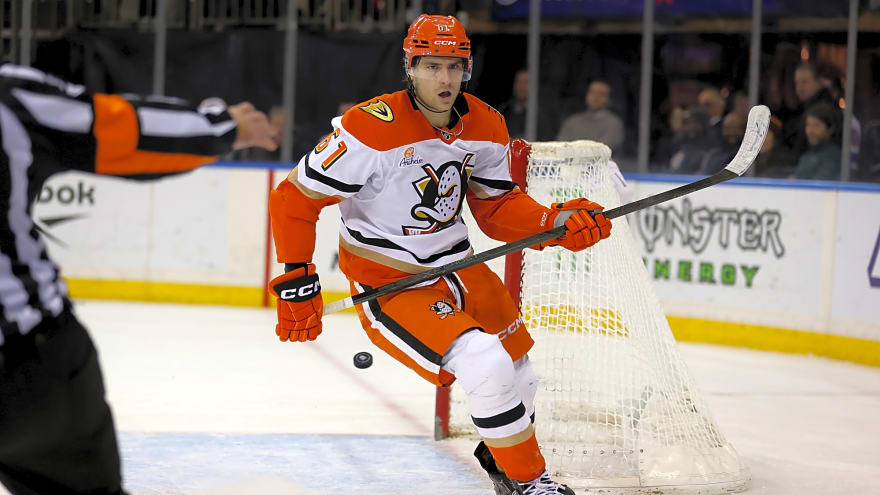  The Anaheim Ducks are More Than Just Frisky and Fun