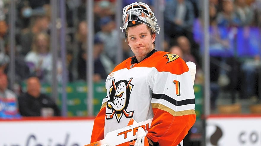 Ducks activate Lukas Dostal off injured reserve