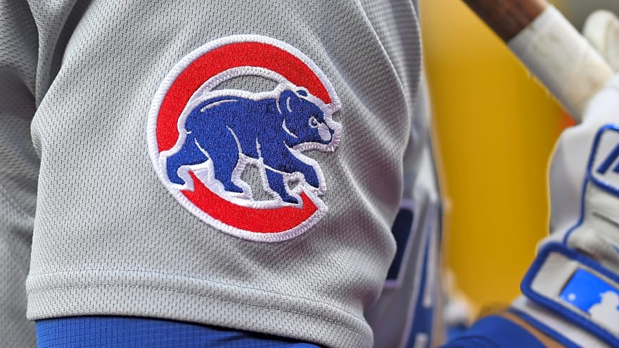 Police respond to video of Cubs fan getting slapped for not standing during national anthem