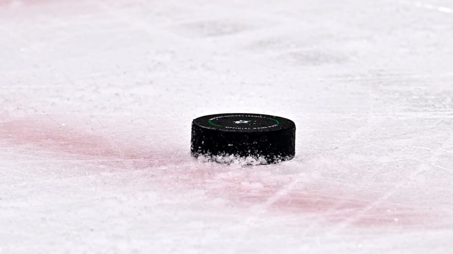 The Texas Stars Just Added a Surprising New Rookie to Their Roster