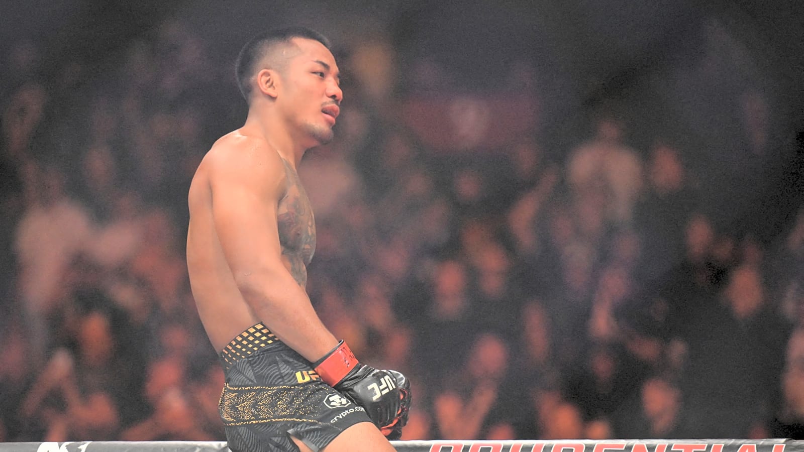 Van On Pantoja Ahead Of UFC 331 Rematch