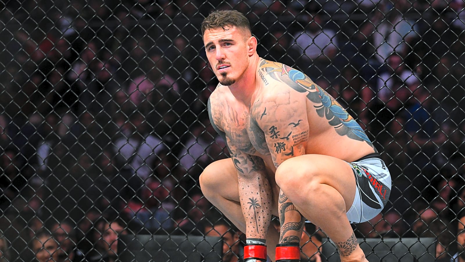 Tom Aspinall involved in familiar scenario as Alex Pereira gets accused of ‘ducking’ for targeting Jon Jones