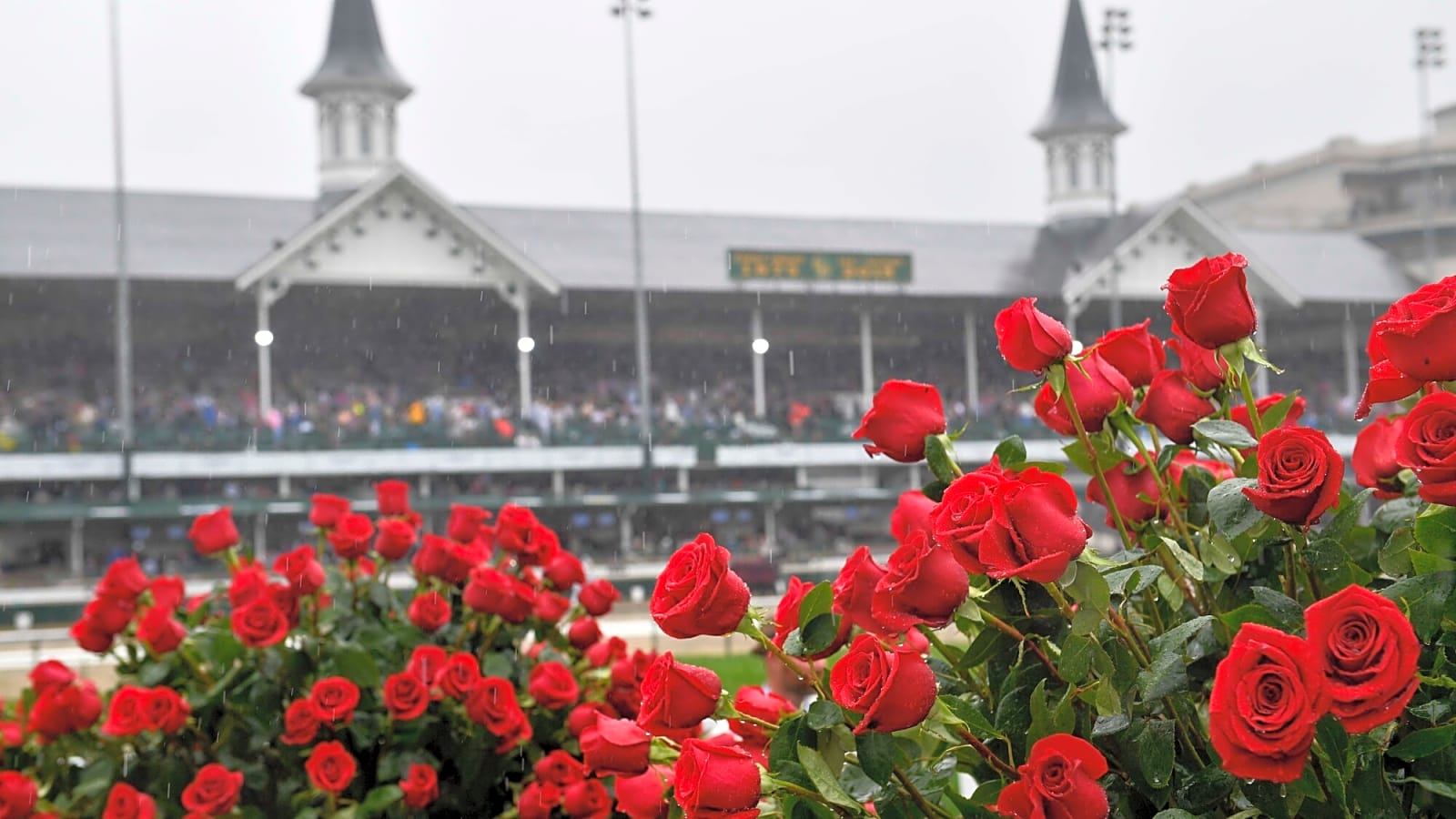 Steve Kornacki’s Kentucky Derby 2025 Picks: Journalism to Win; Exacta & Trifecta Bets