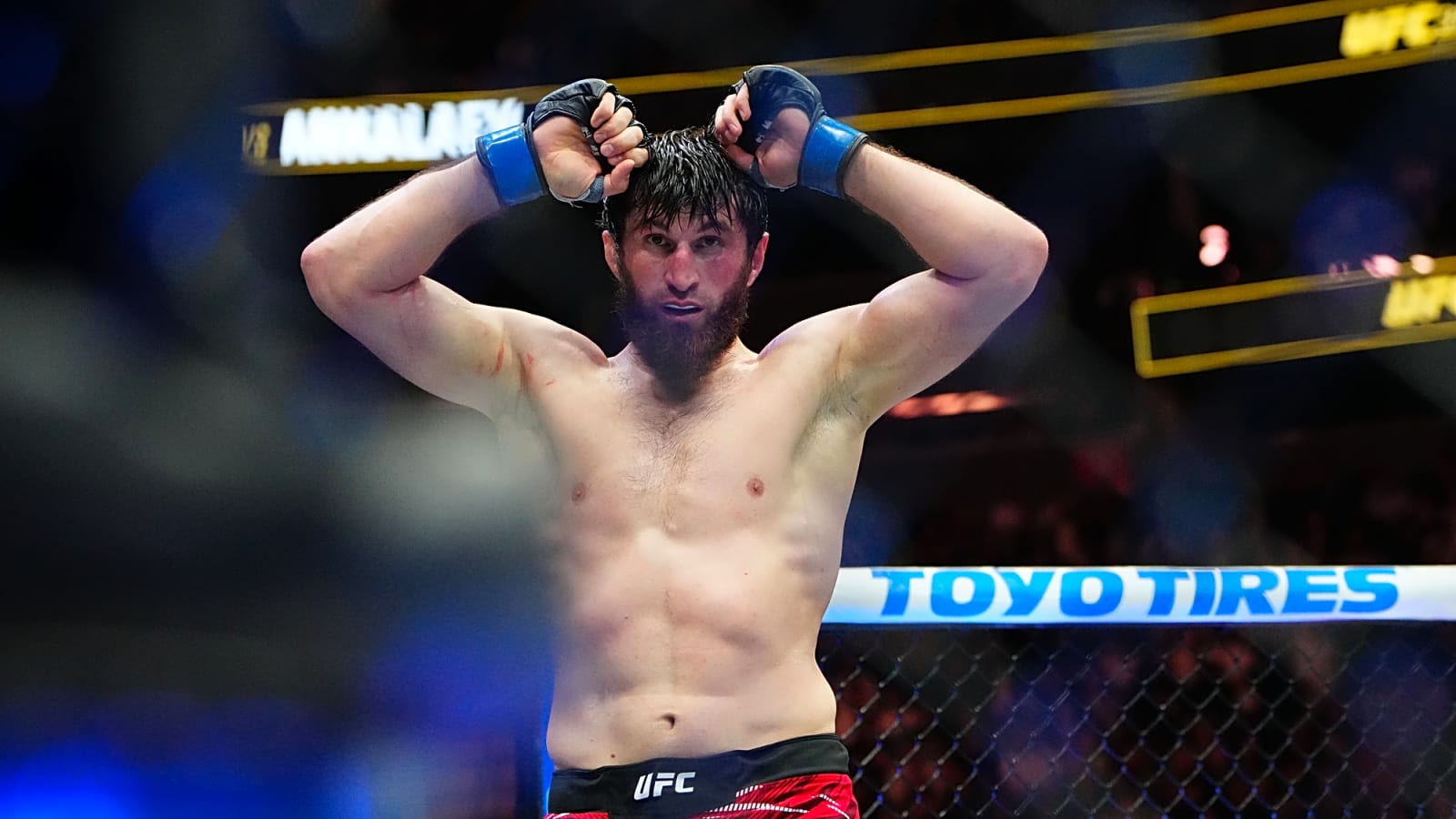 Magomed Ankalaev’s Coffee Shop: All About UFC Star’s Business Portfolio