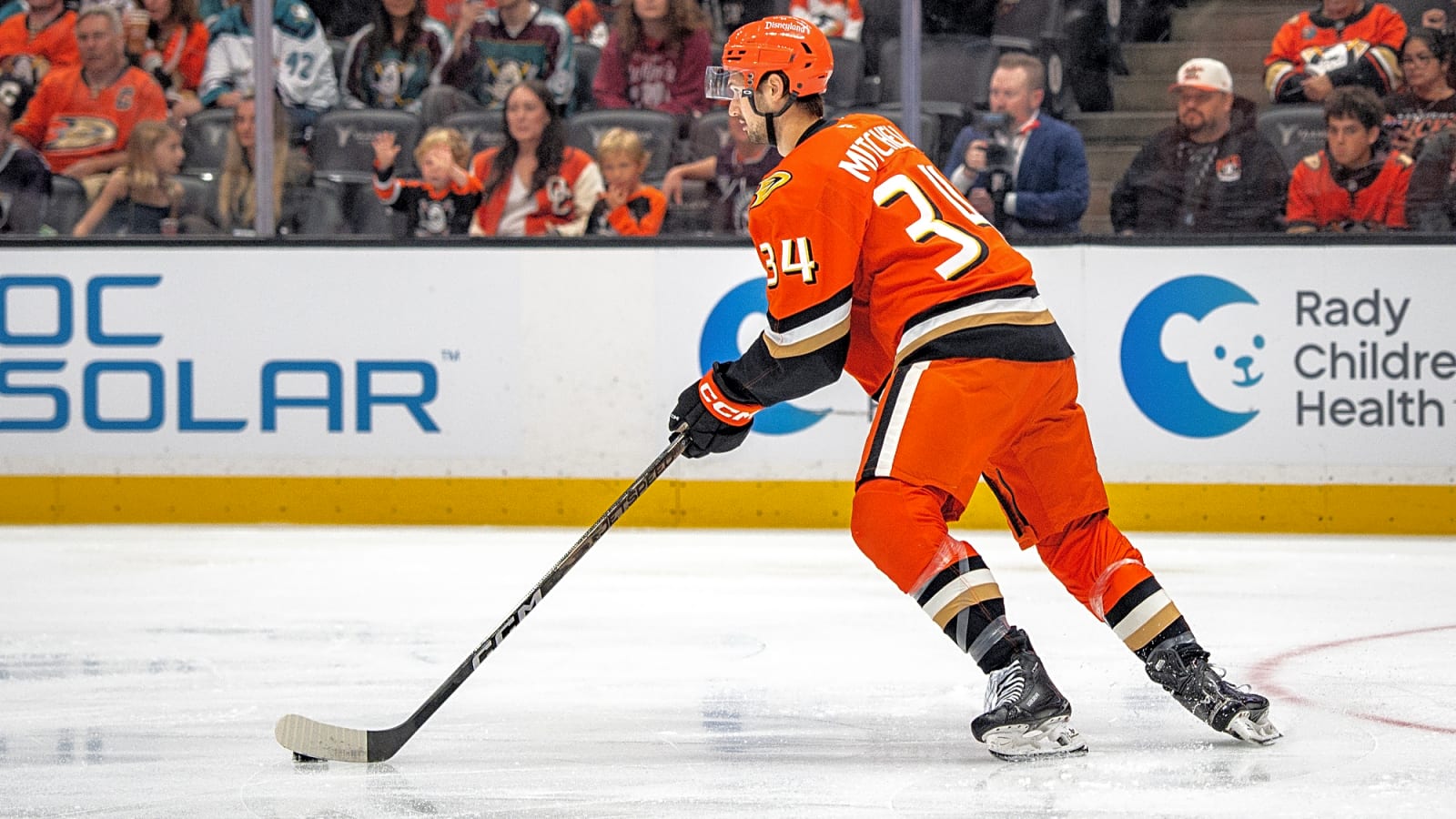 Ducks Recall Travis Mitchell; Place Pavel Mintyukov On IR