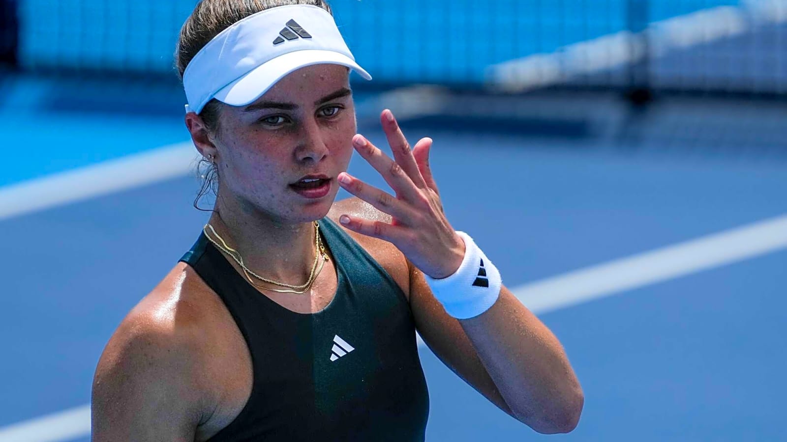 Rising teenage star Iva Jovic tipped as future of American tennis by two-time Grand Slam champion