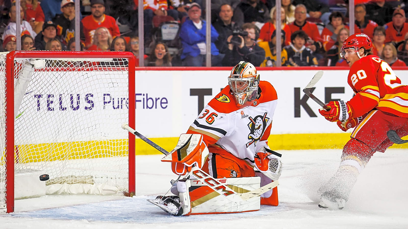 Ducks’ Goalie John Gibson Traded to Red Wings