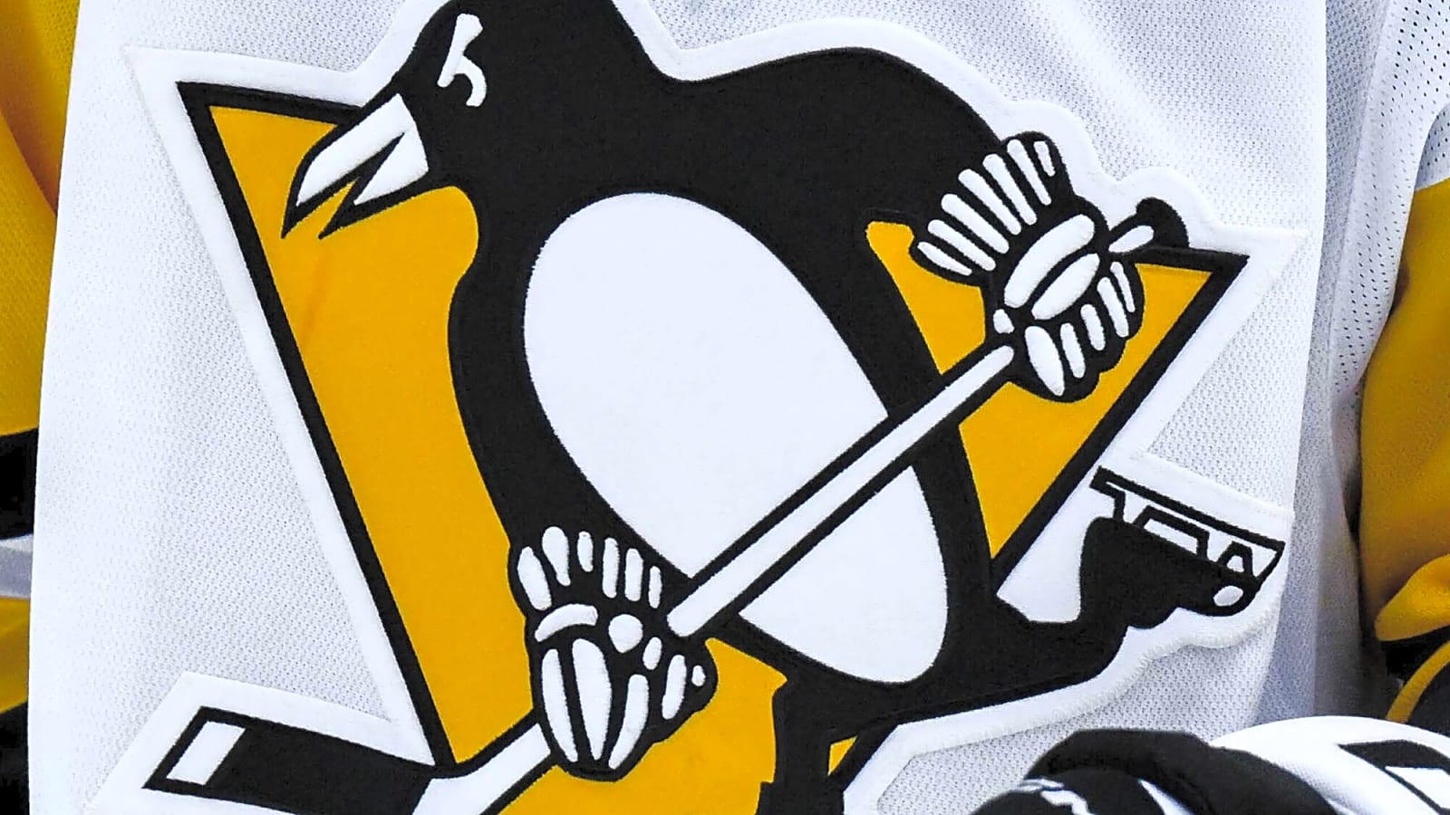 Penguins sign Filip Hallander to two-year contract
