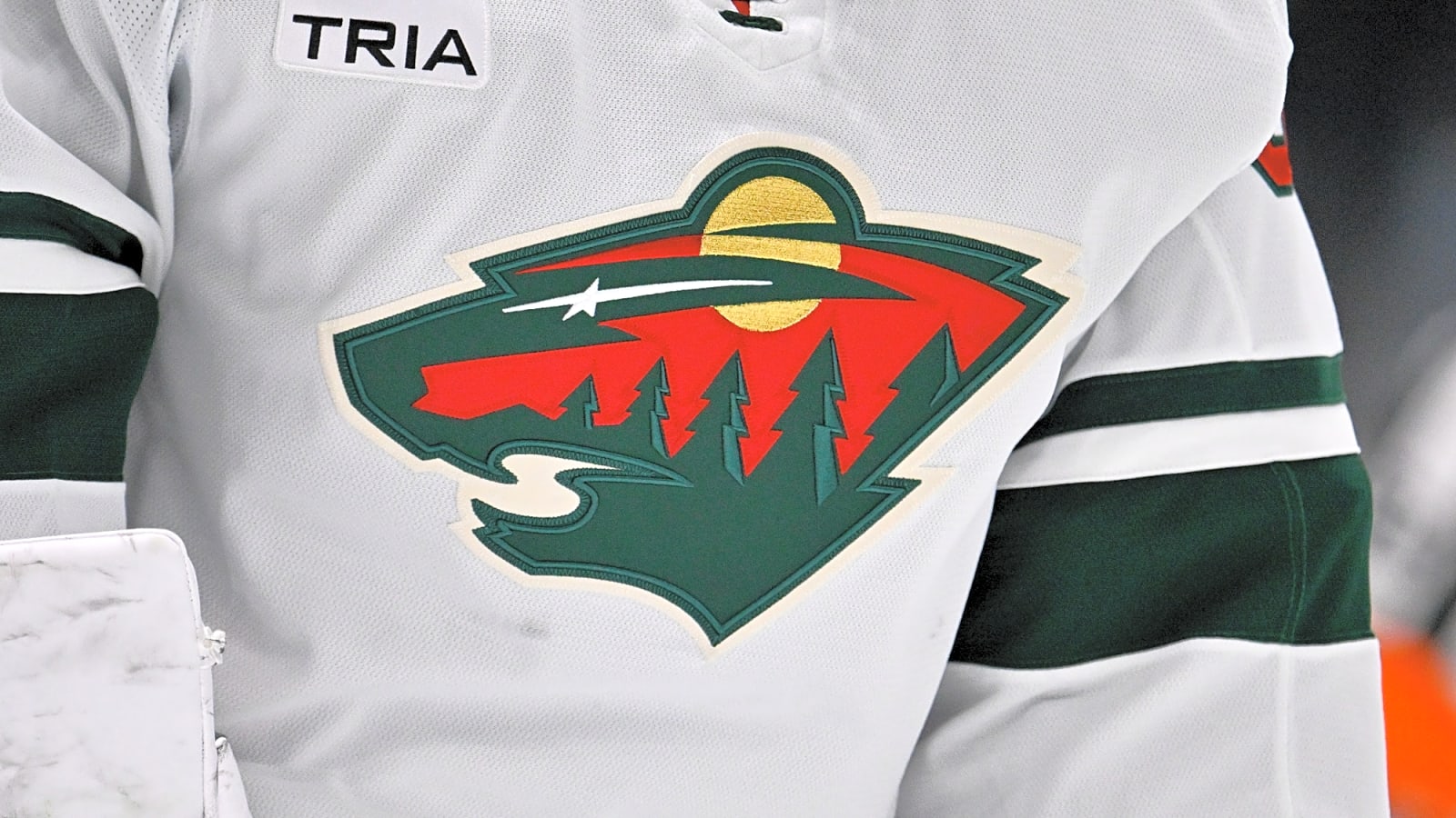 Wild Sign Filip Ruzicka To Entry-Level Contract