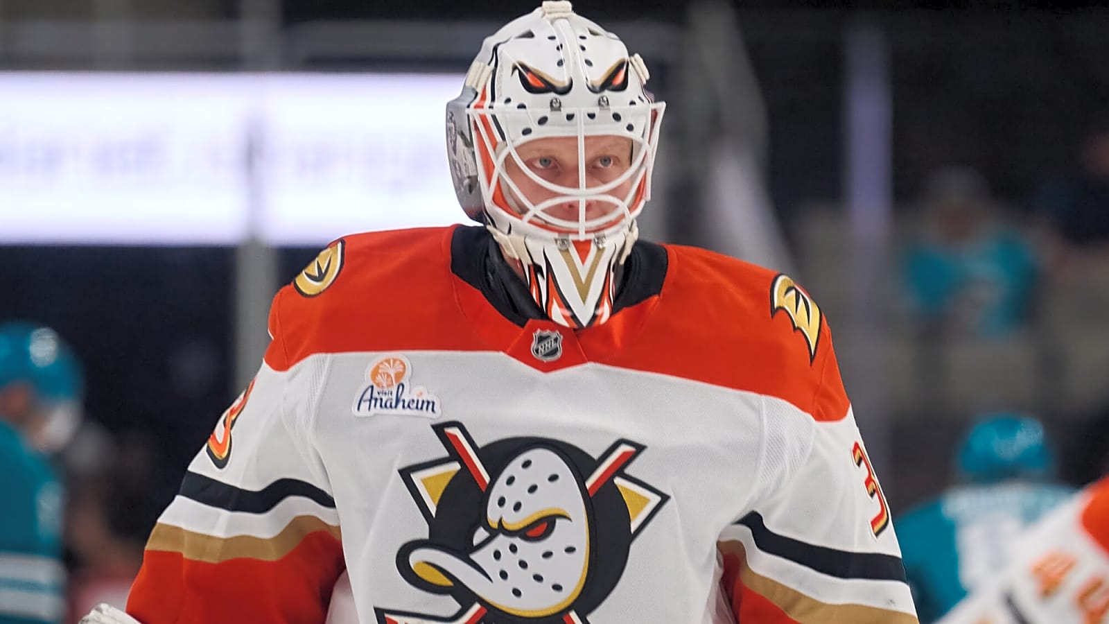 Looking at backup goalie options for the Flames