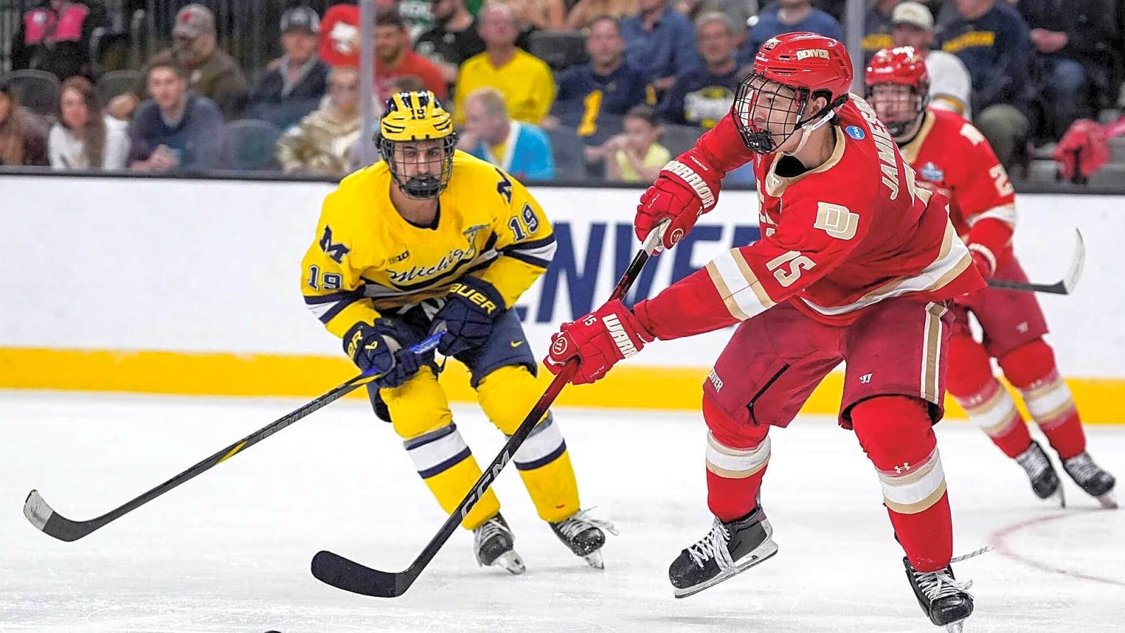'Michael Hage is wasting his time in the NCAA'