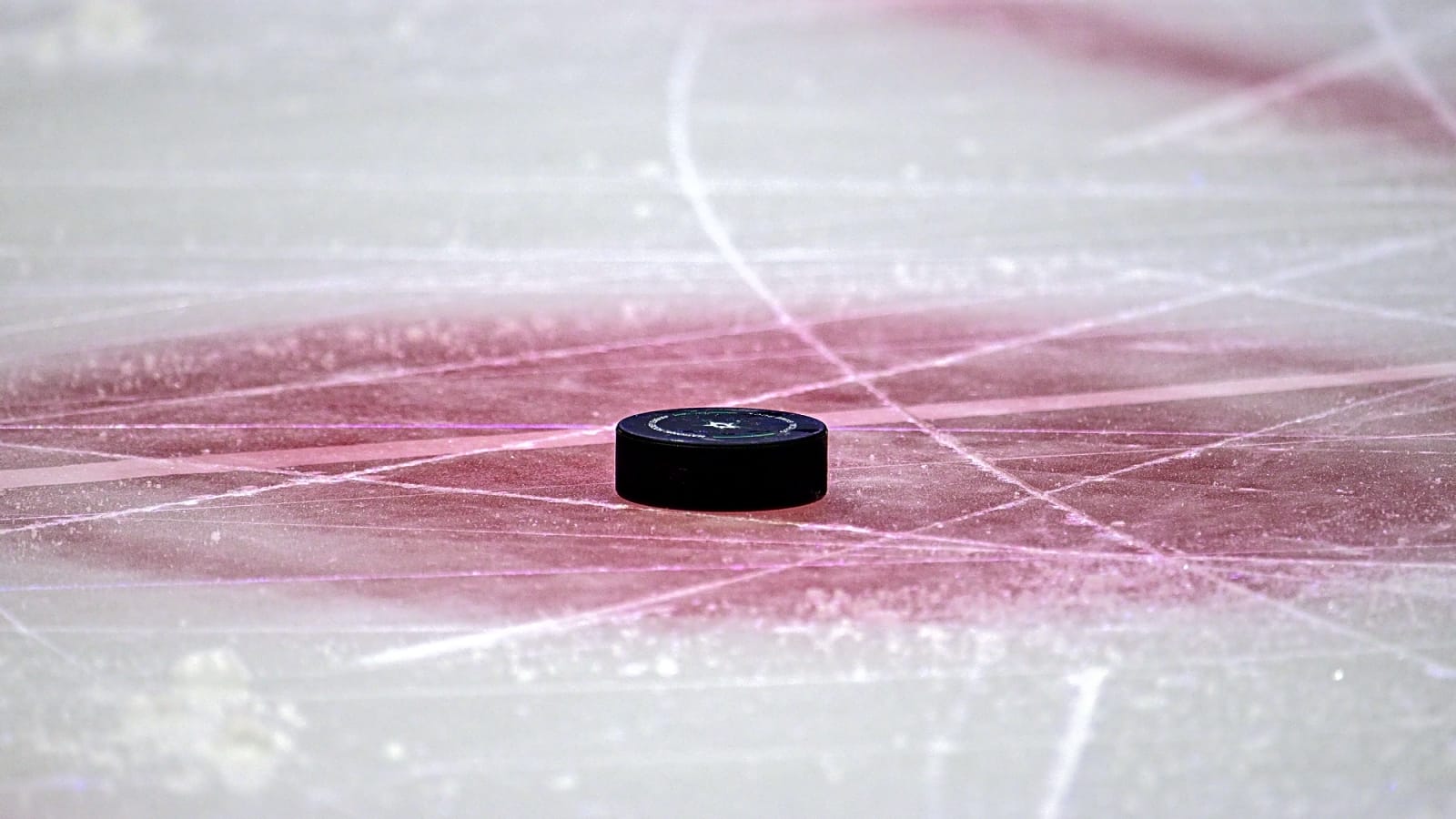 What's So Unusual About the Toronto Marlies' Roster?