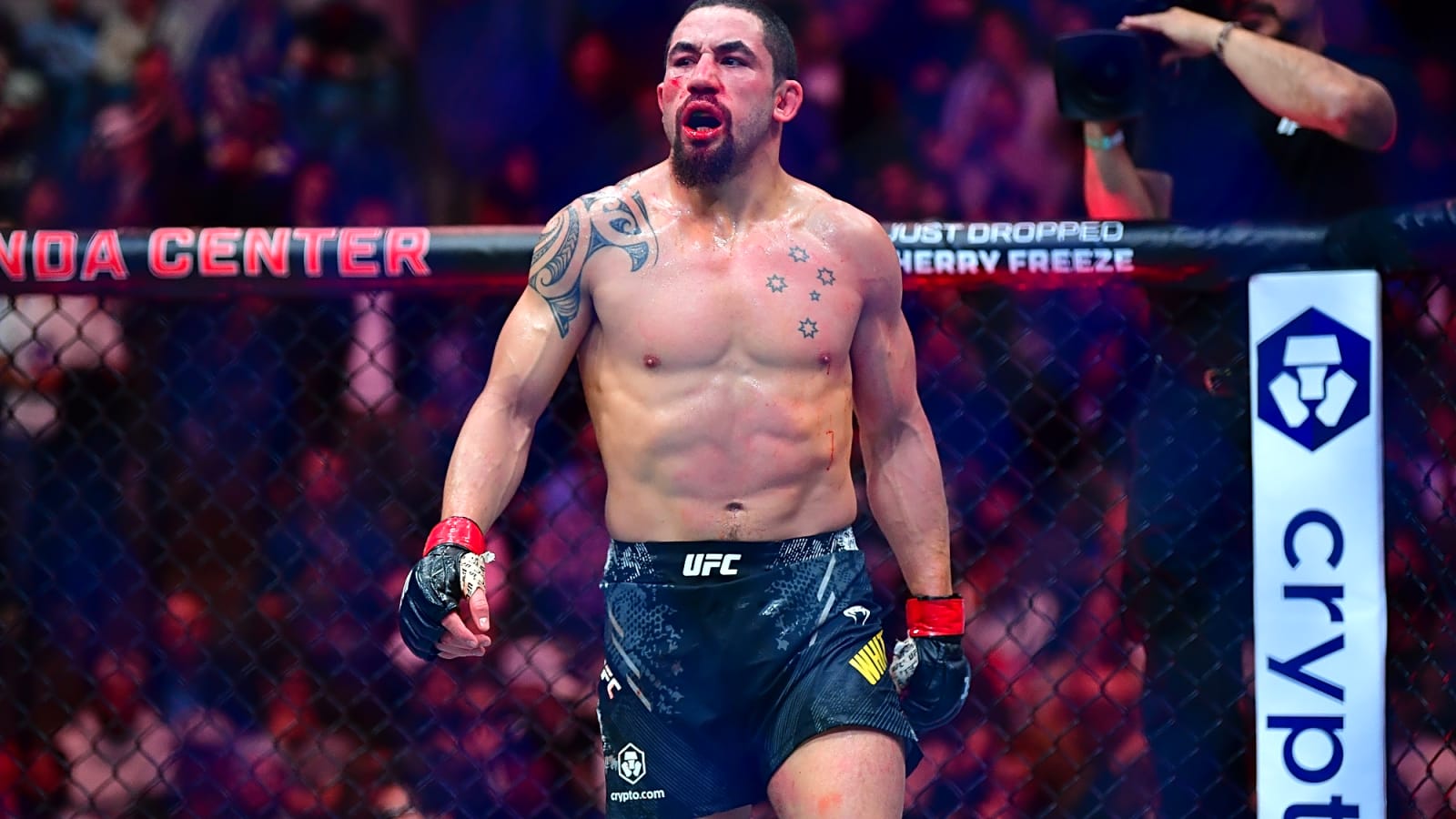 Reinier de Ridder Powers Past Robert Whittaker