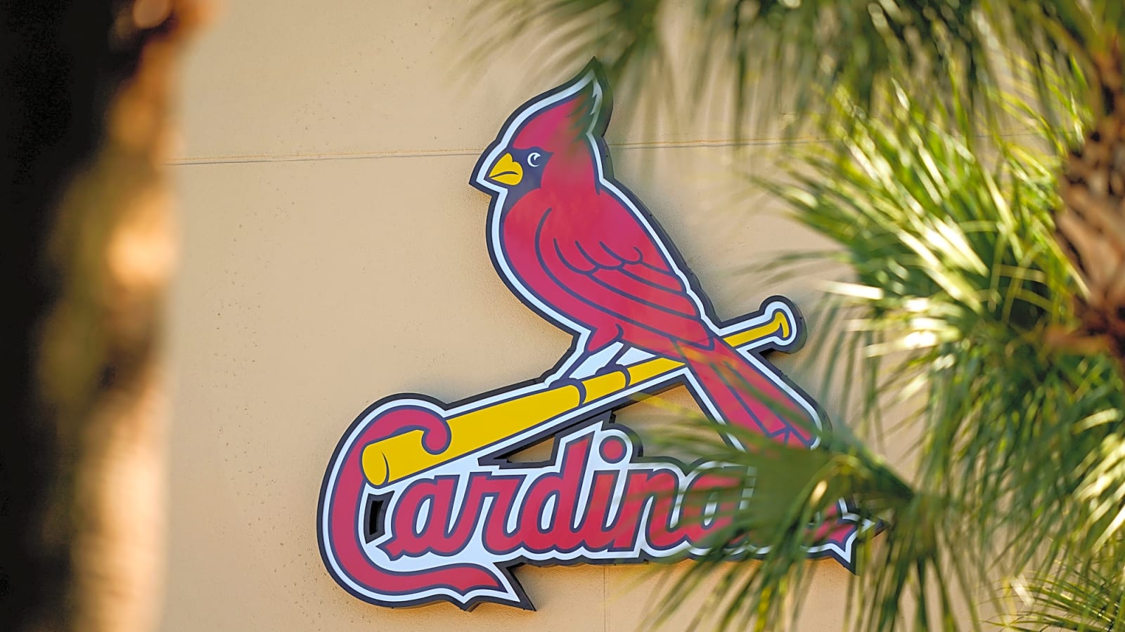 Cardinals’ Farm System Flourishes, Promising a Bright Future