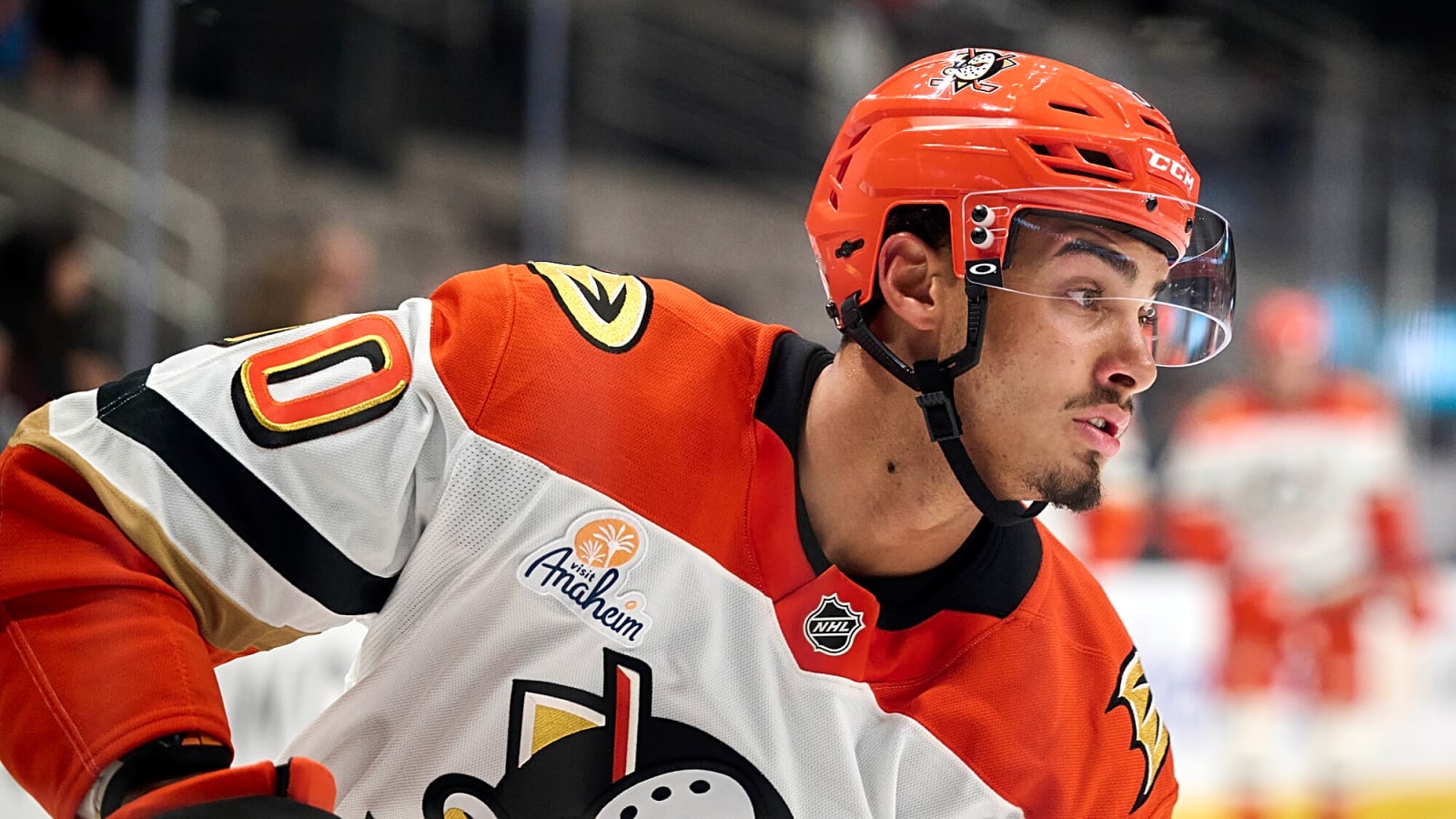 Ducks Recall Tyson Hinds