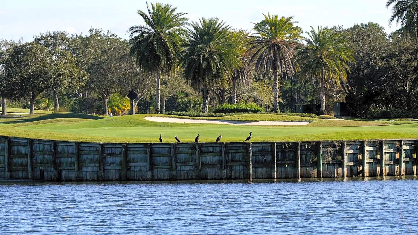Arnold Palmer: The King Who Made Golf Human