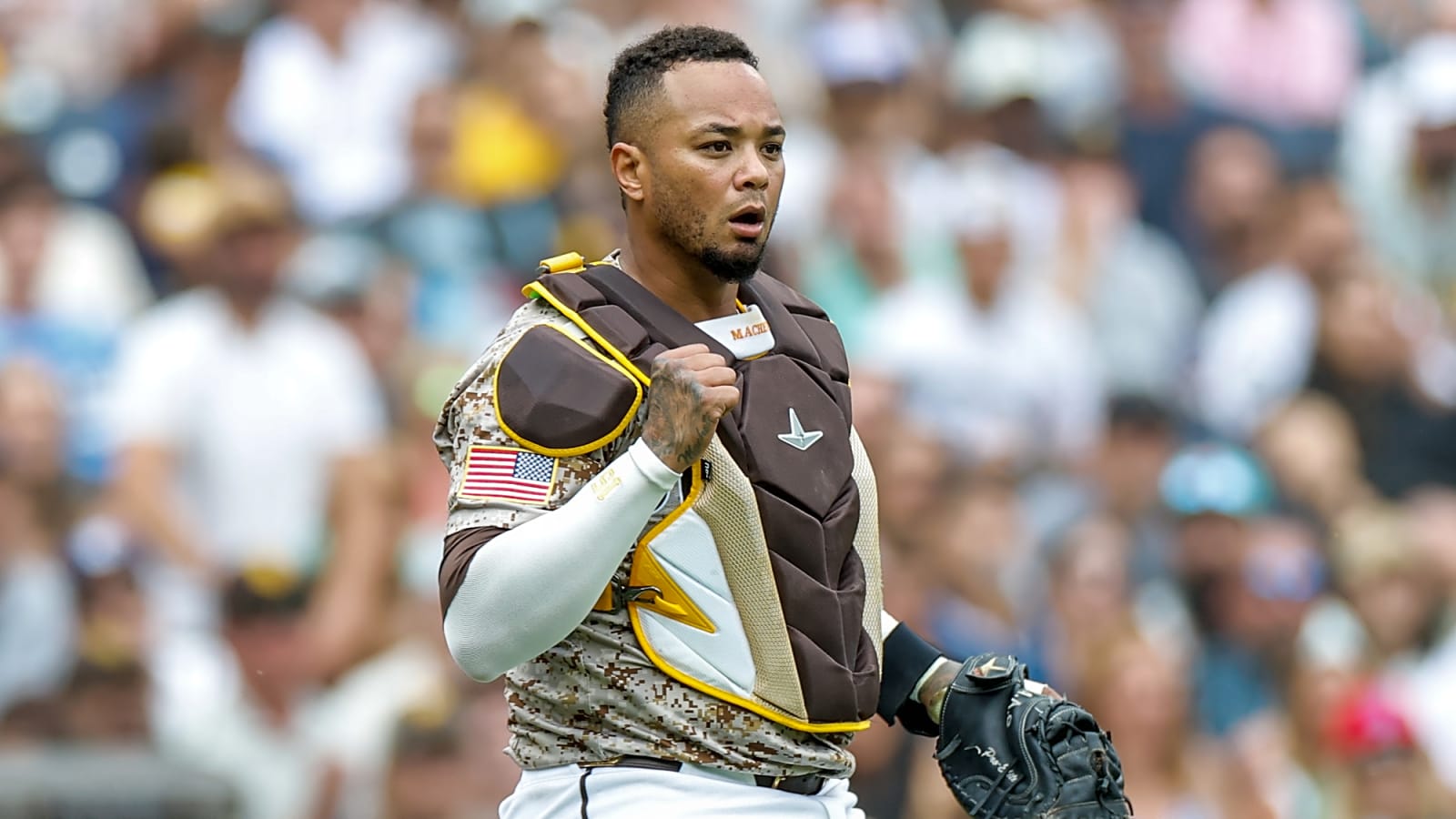 Padres release World Series-winning catcher, outright veteran utilityman