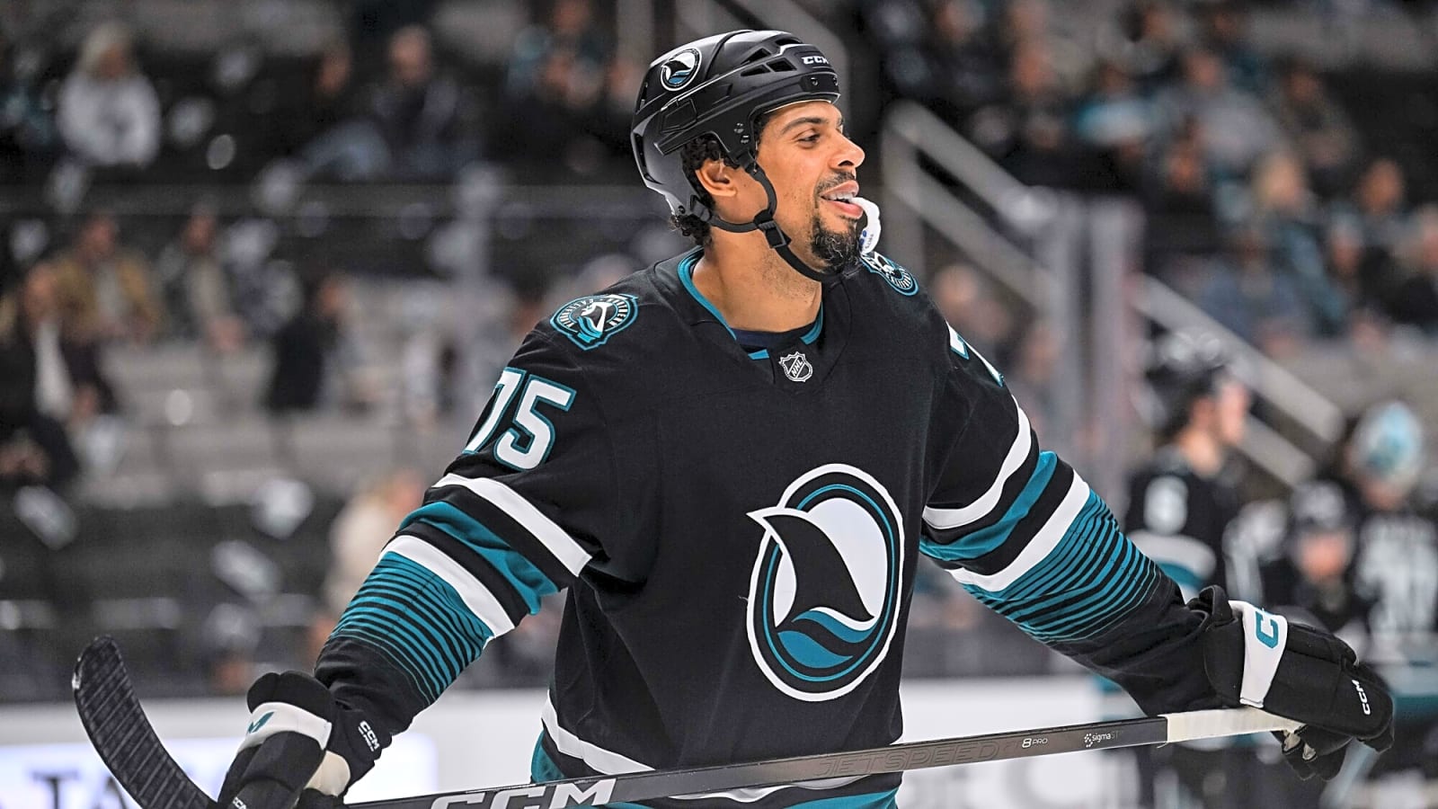 Ryan Reaves Announces Retirement