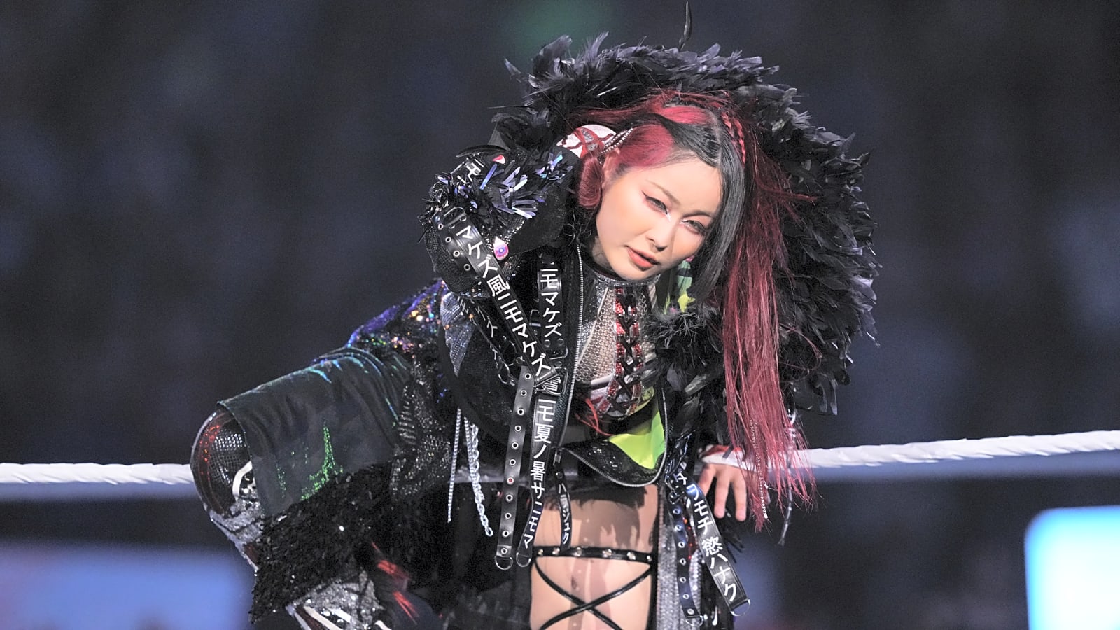 WWE Adds Blockbuster Title Match to &#39;SummerSlam 2025&#39;