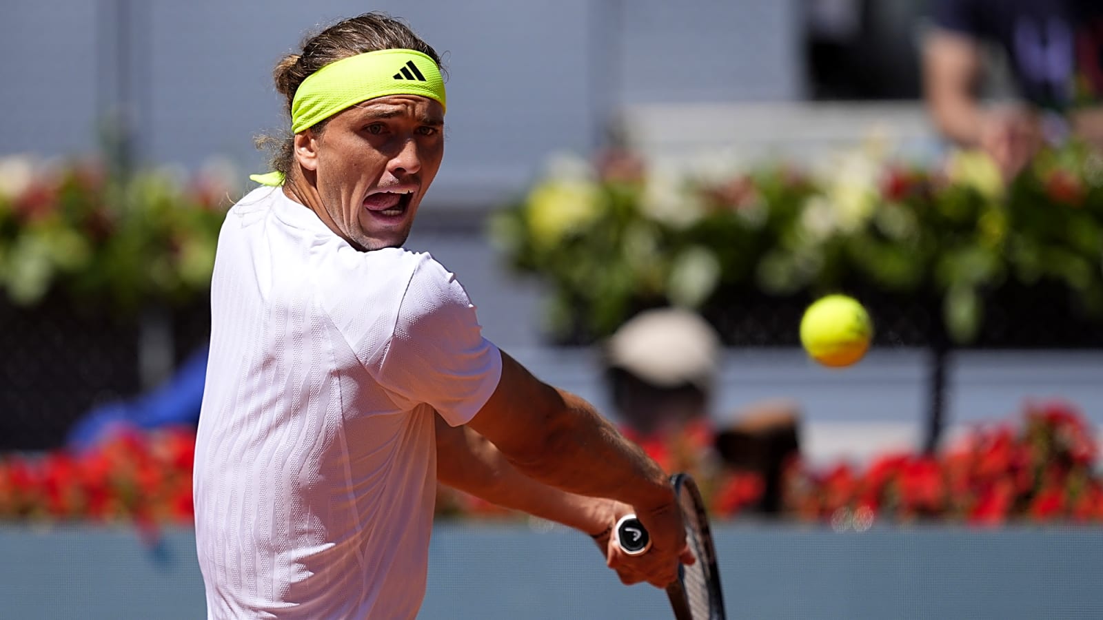 'Something is way off... Insanity': Boris Becker and Martina Navratilova among top names puzzled by Alexander Zverev Madrid controversy