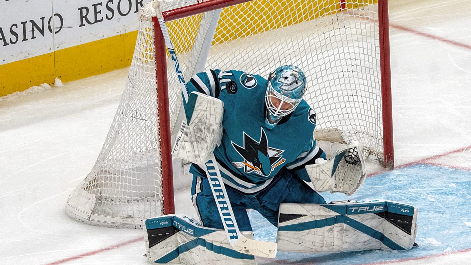 Free agent profile: Alexandar Georgiev