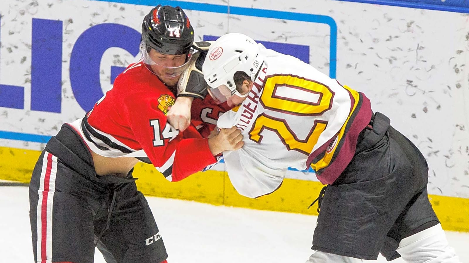 Rockford IceHogs Re-Sign Veteran Defenseman