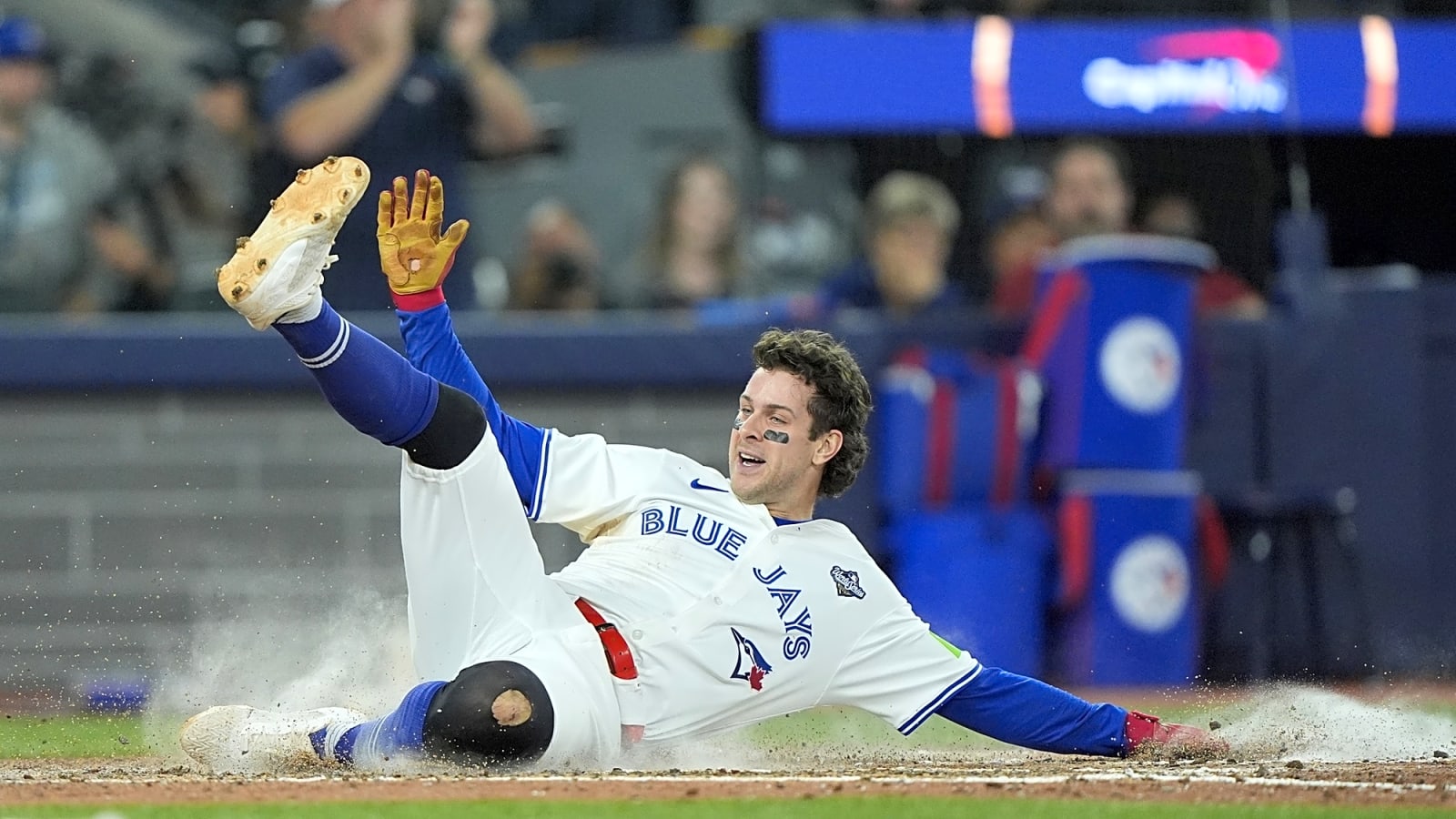 The Blue Jays captivated a fan base and have everything to be proud of