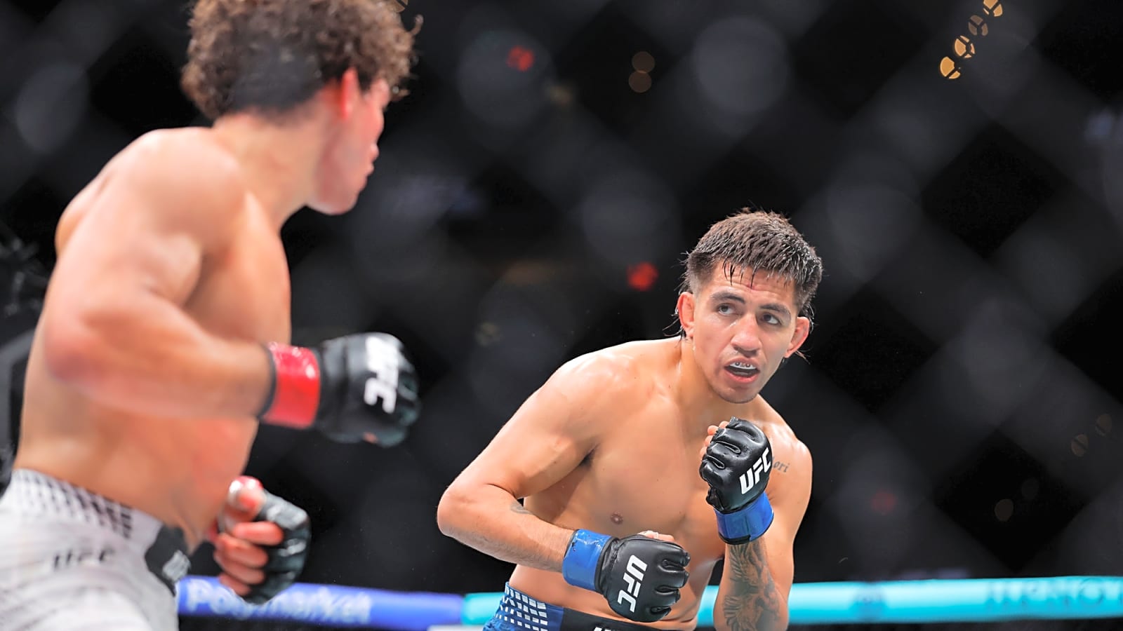 Delgado Visualizes Spectacular Silva Finish At Noche UFC 4