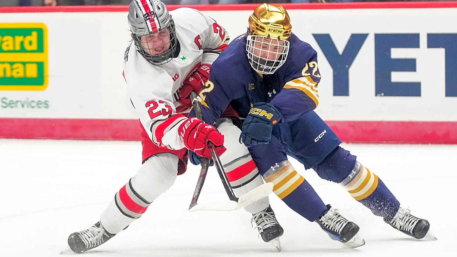 Flyers Sign Cole Knuble To Entry-Level Deal