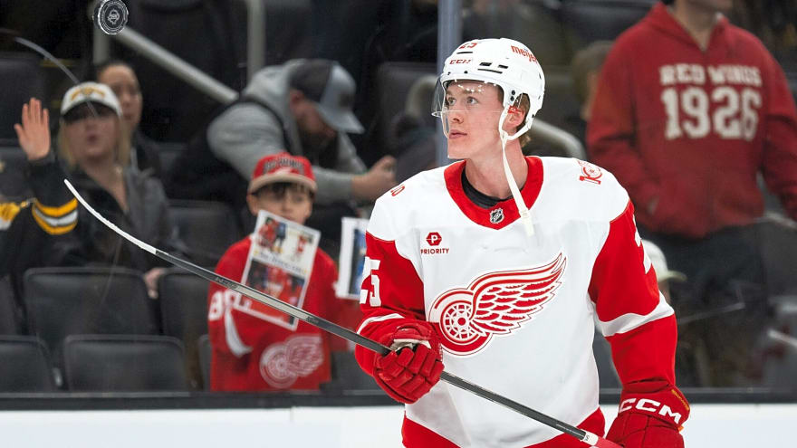 Red Wings place Jacob Bernard-Docker on waivers
