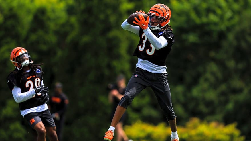 Bengals Player Profile: Daijahn Anthony has clear opportunity to reclaim his standing among Cincinnati’s safeties