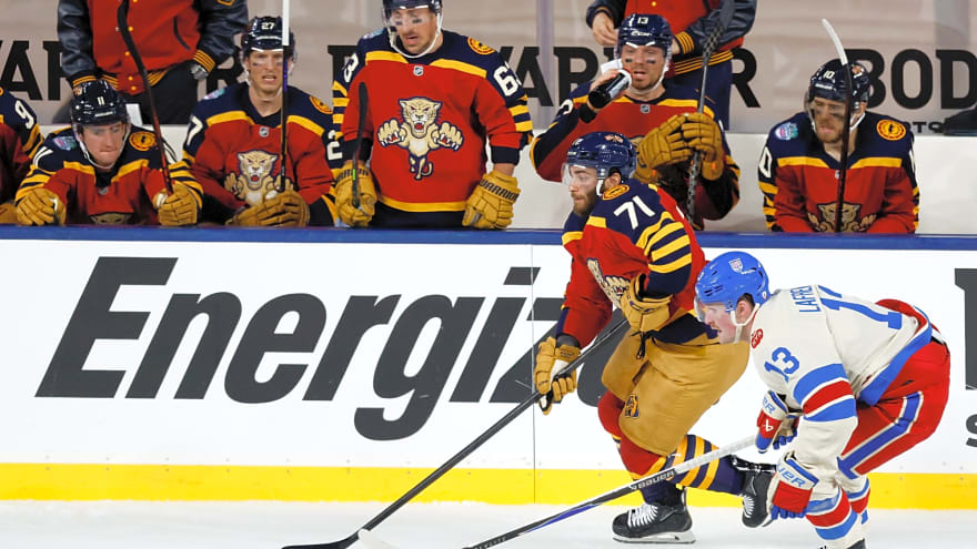 Panthers Recall Luke Kunin