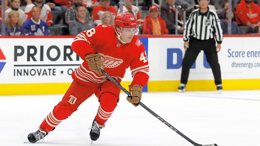 Assessing Detroit Red Wings’ Supporting Players This Season