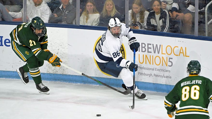 Maple Leafs rally behind Matthew Mayich during team trip to Arizona