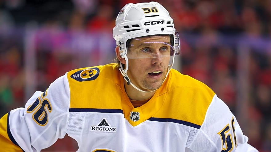 Erik Haula could be a versatile add for a contending team