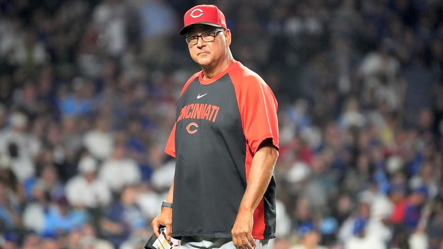 Reds Announce Coaching Updates