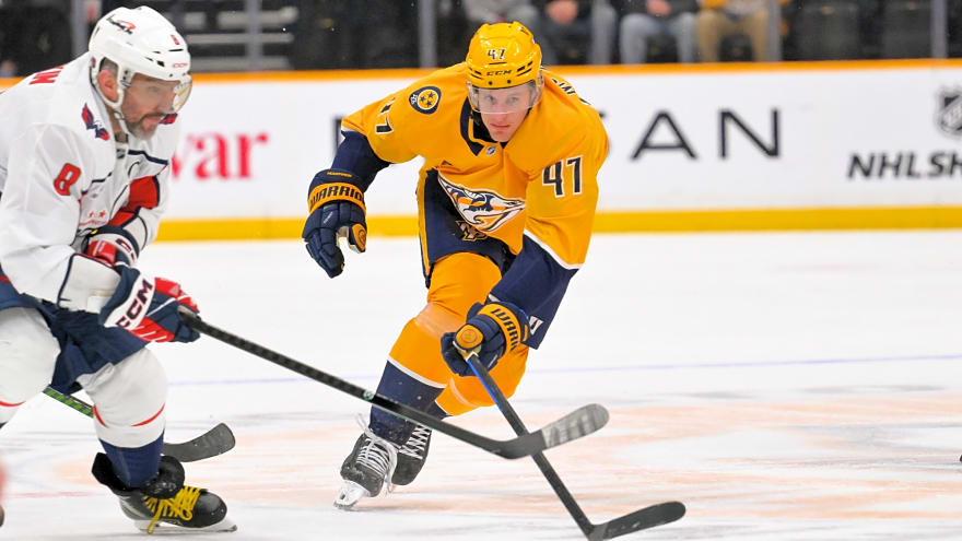 Wild Add Size by Picking Up Michael McCarron from Predators