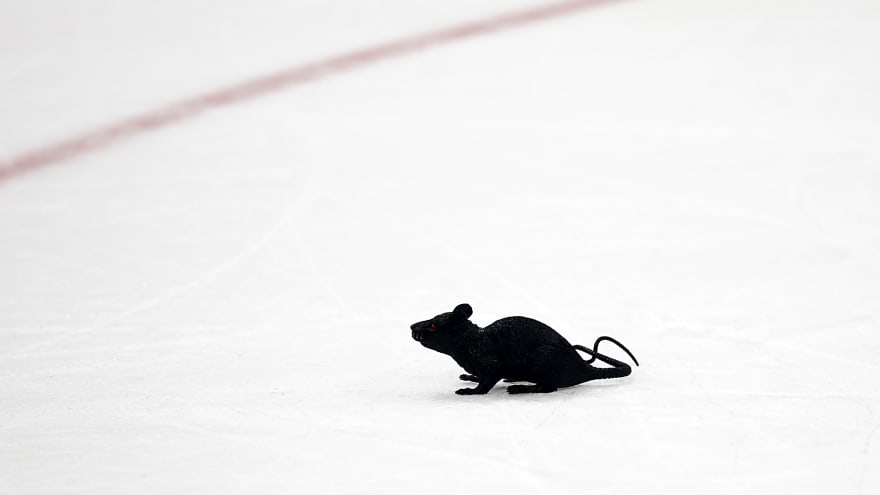 Oh, Rats! The Florida Panthers’ Bizarre Celebration Explained