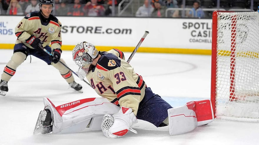 Should the Oilers target young goalies Cossa or Levi?