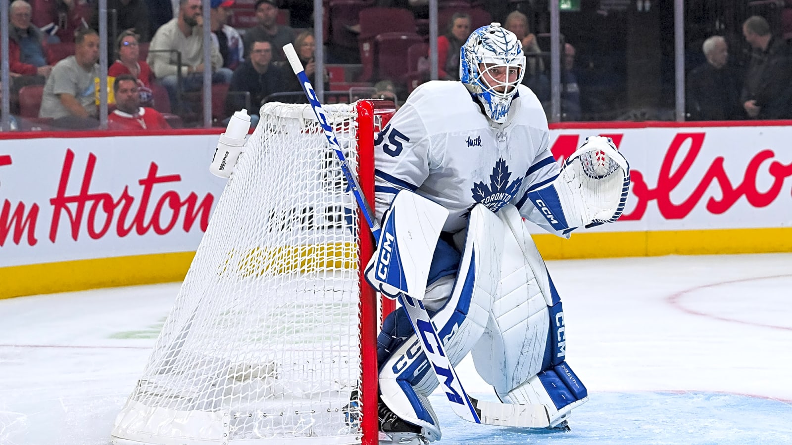 Maple Leafs Recall Dennis Hildeby After Losing Goalie to the Hurricanes