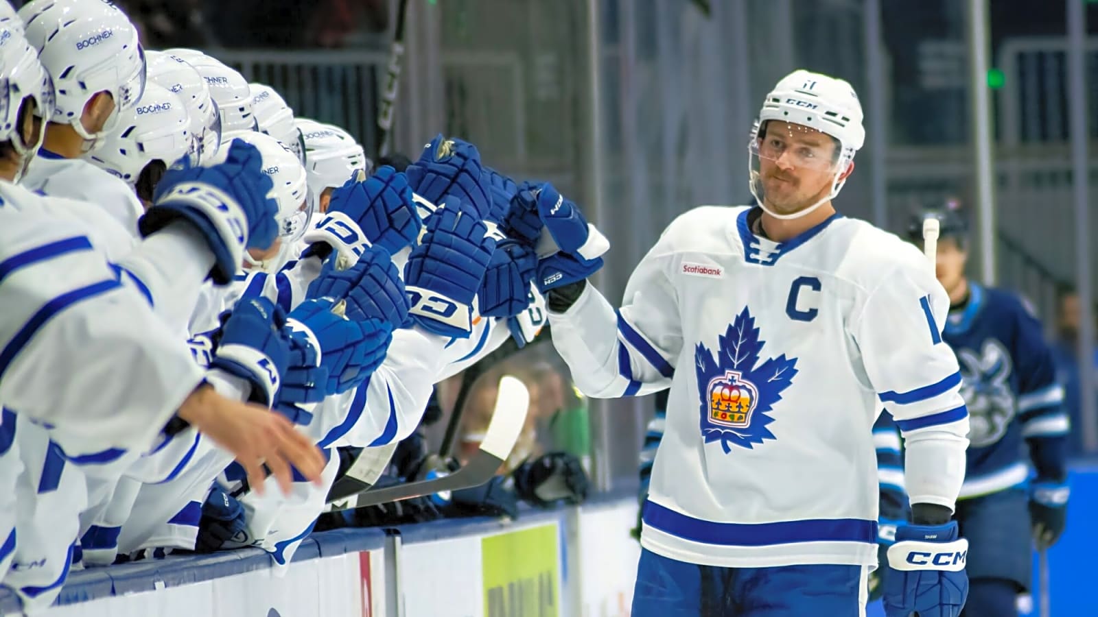 Toronto Marlies announce training camp roster