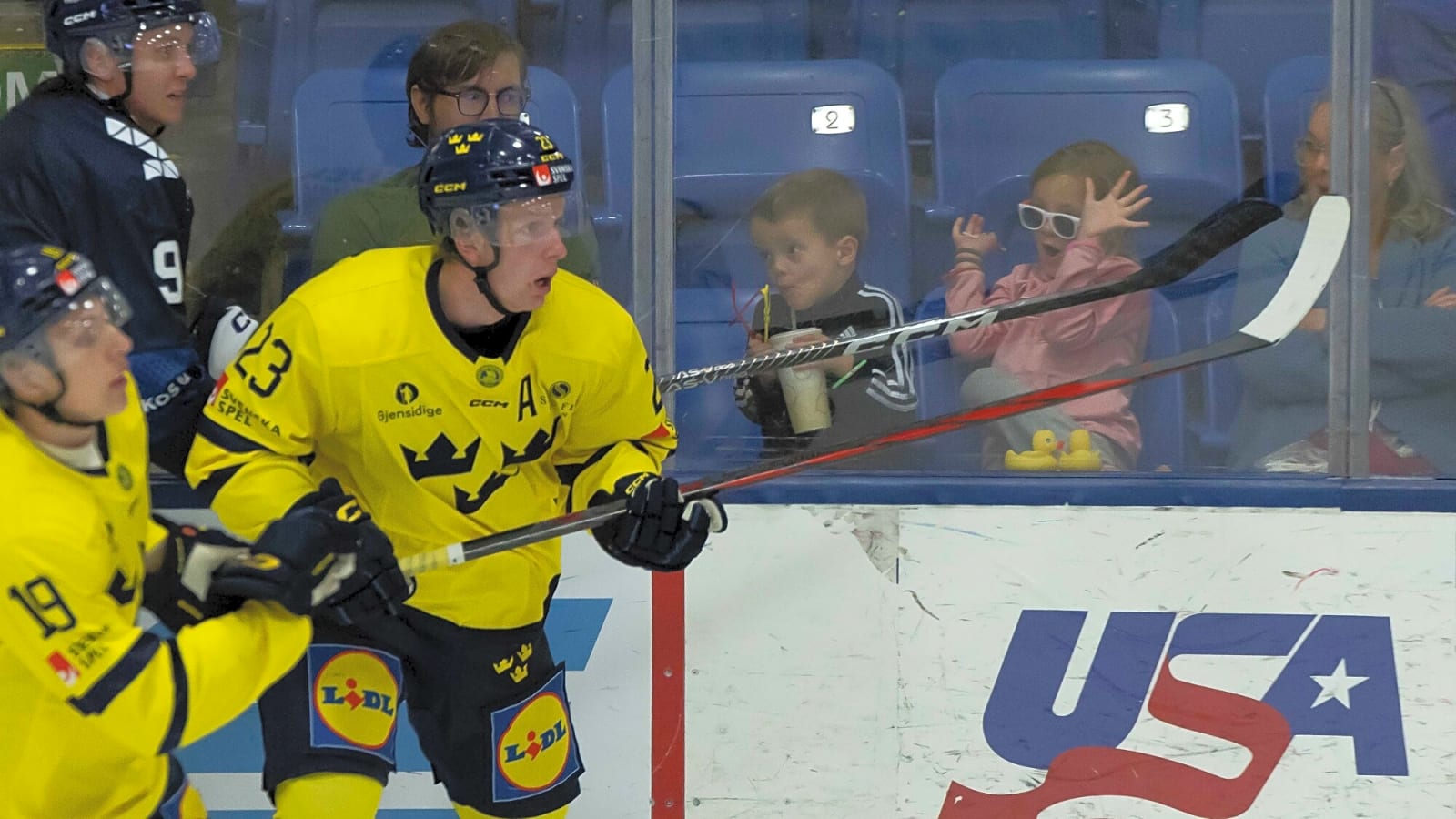 St. Louis Blues Recall Otto Stenberg