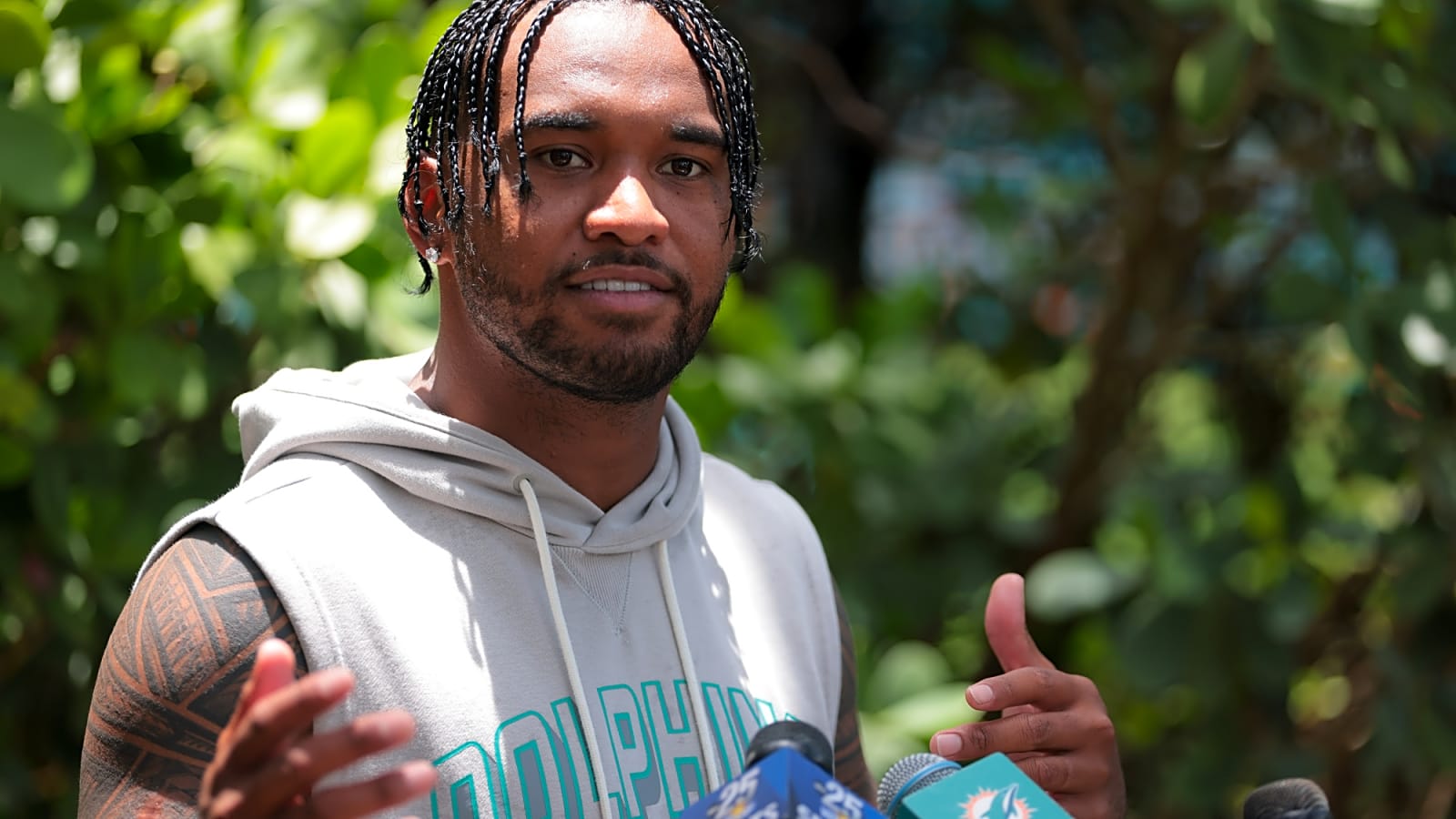 The Top 25 Dolphins of the past 25 years | Honorable Mentions