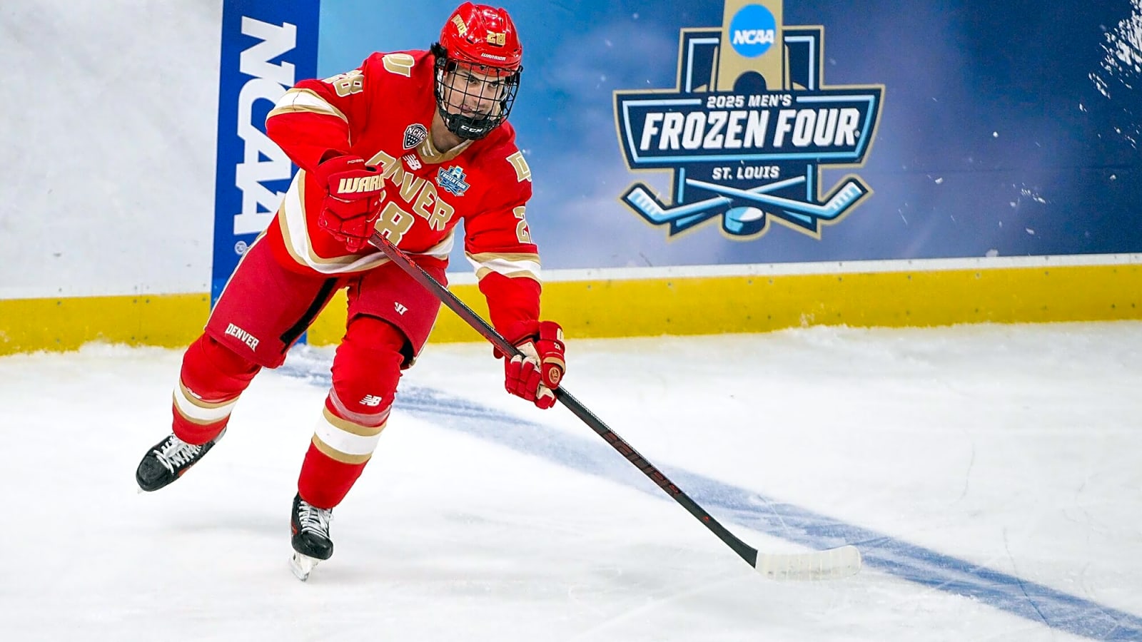 What Zeev Buium brings to the Wild