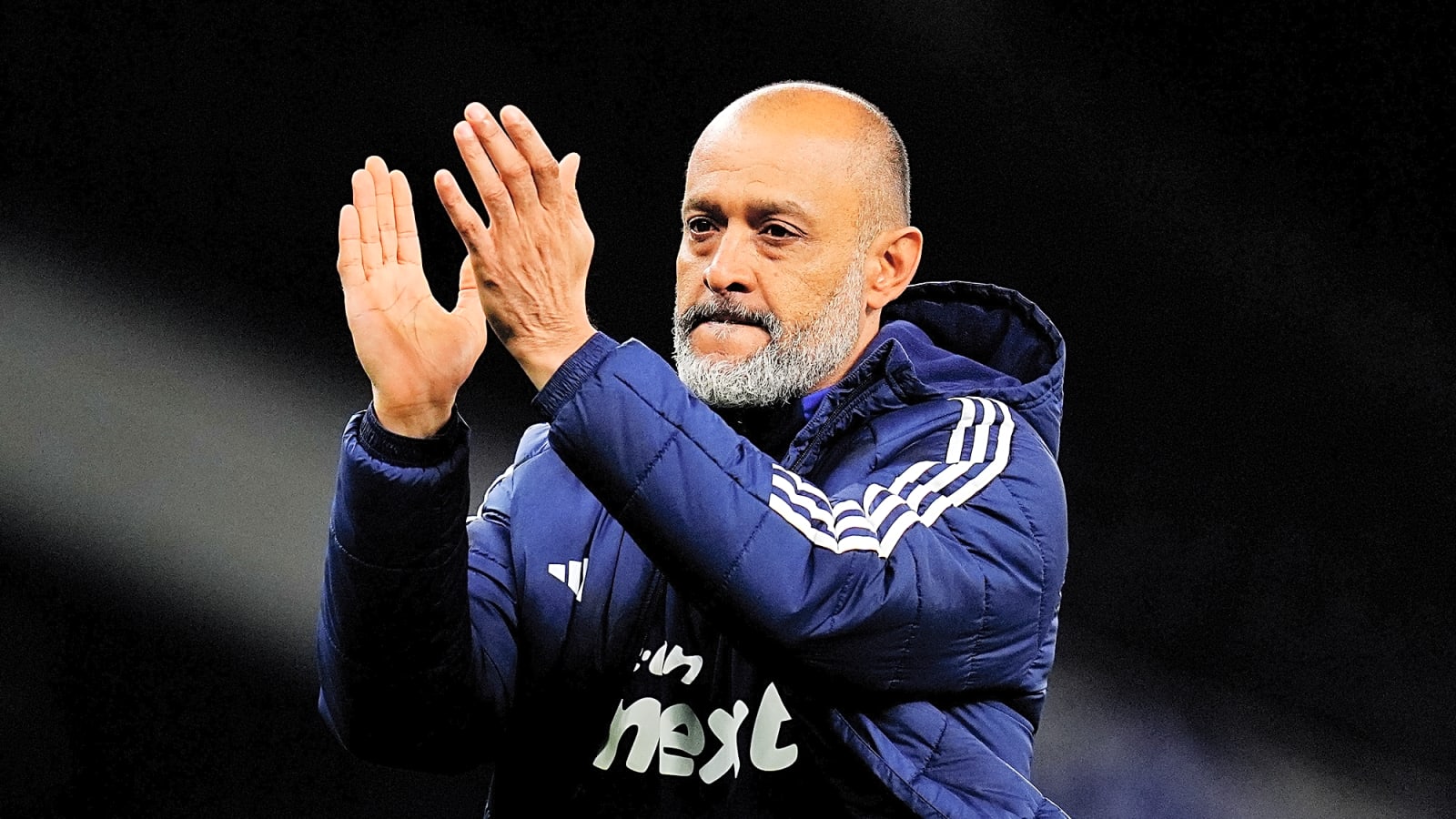 Can't see Forest for the Trees