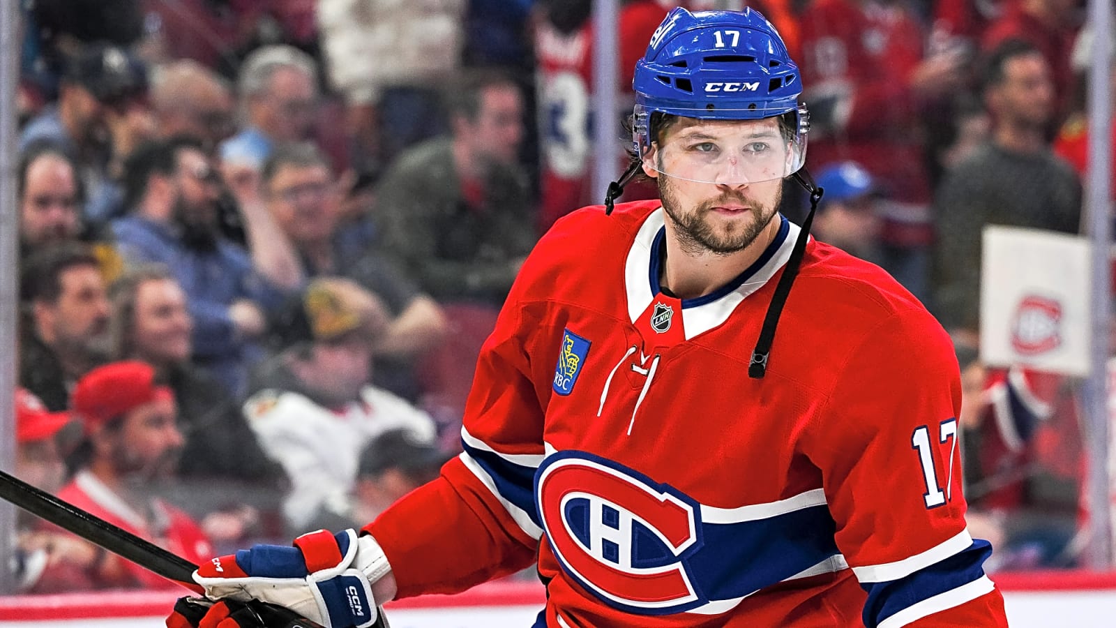 Josh Anderson and Tom Wilson fined by the NHL