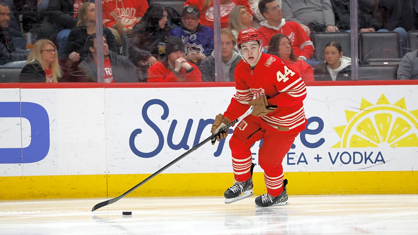 Red Wings Recall Axel Sandin-Pellikka