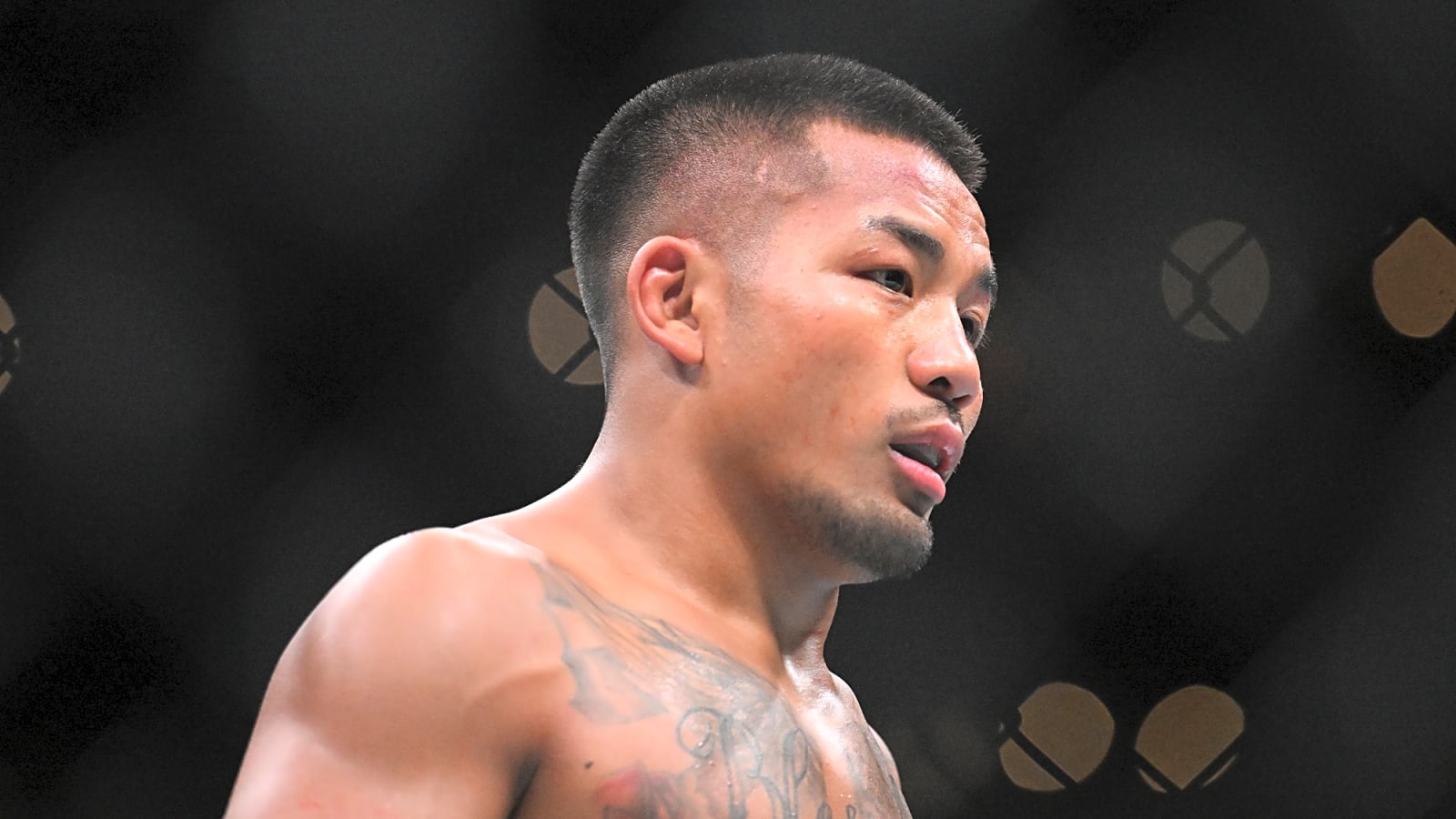 Van, Nurmagomedov Lead ESPN's MMA 30 Under 30
