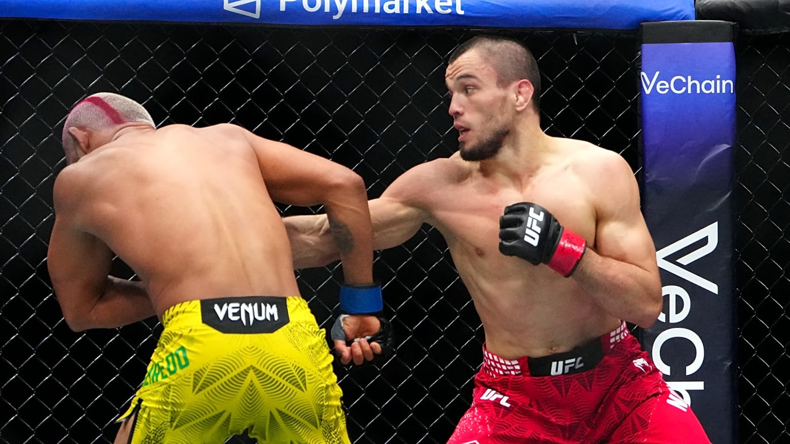 Nurmagomedov Predicts Yan Repeat Over Dvalishvili