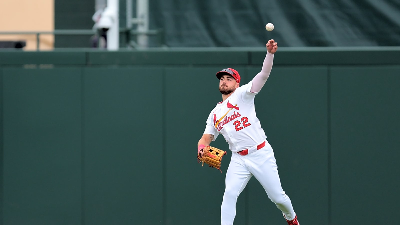 Yankees Designate Michael Siani For Assignment